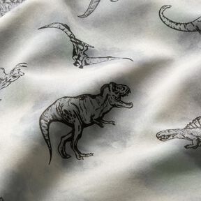 Softshell Dinossauros – cinzento claro, 