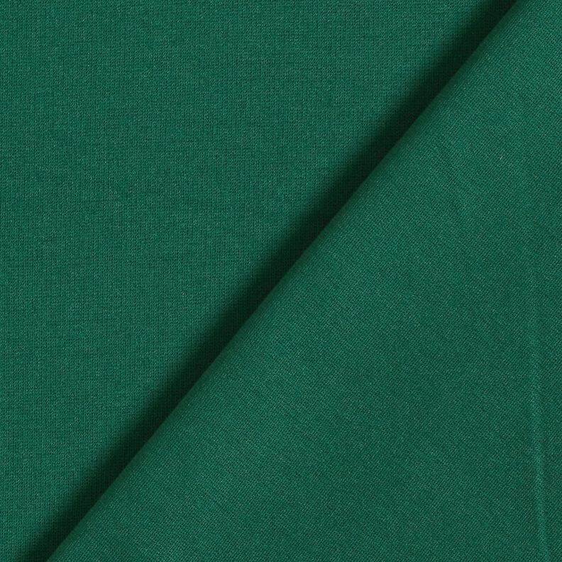 Jersey Romanit Premium – verde escuro,  image number 3