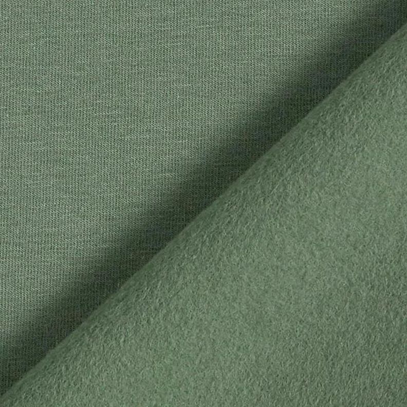 Sweat de algodão leve liso – verde-pinheiro,  image number 5